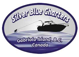 silver blue logo