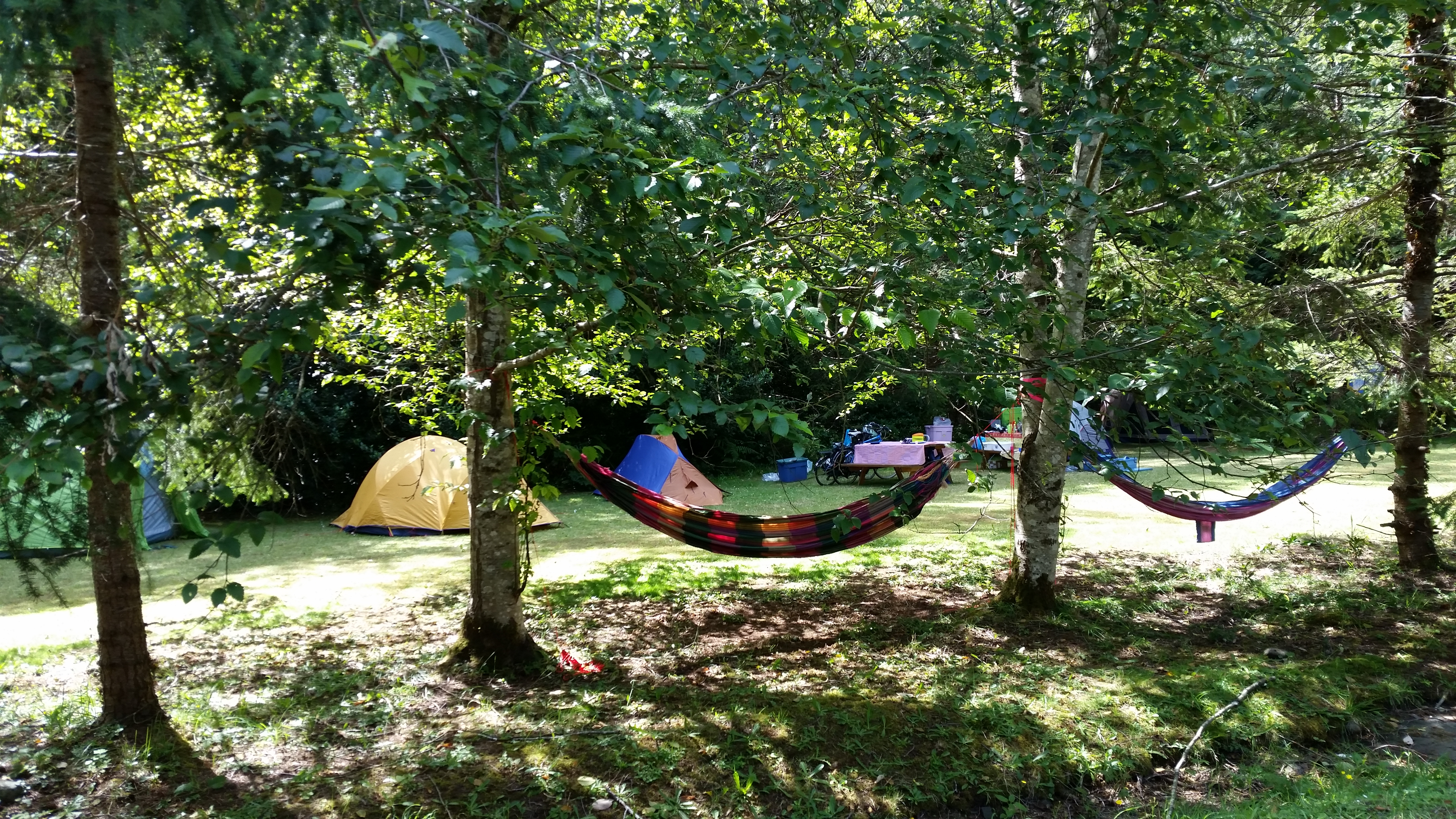 Page's Resort & Marina Campground — photo 3