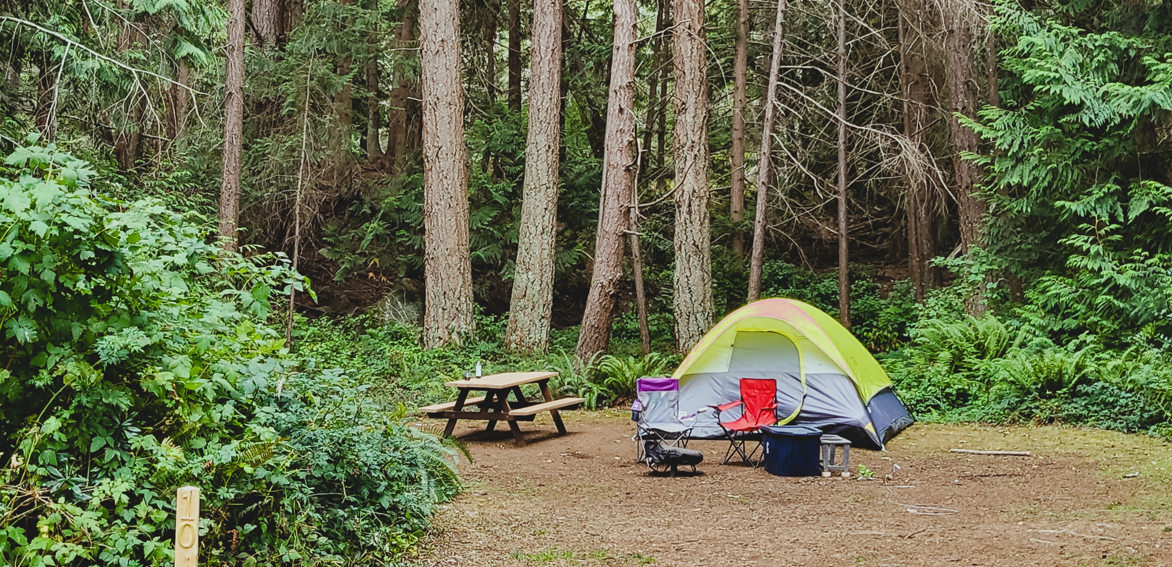 Page's Resort & Marina Campground — photo 5